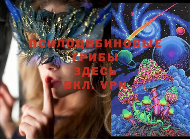 MEGA ССЫЛКА  Нижняя Салда  Галлюциногенные грибы Psilocybe 